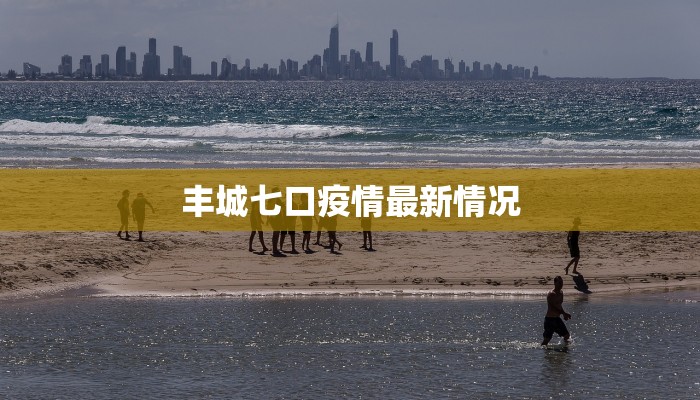 丰城七口疫情最新情况 丰城七口疫情最新情况