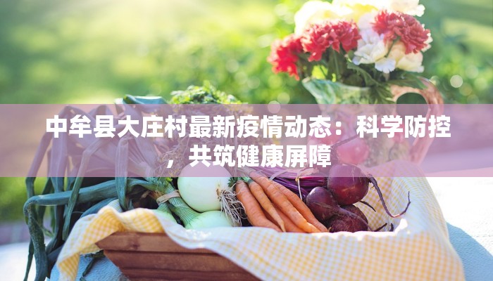 中牟县大庄村最新疫情动态：科学防控，共筑健康屏障