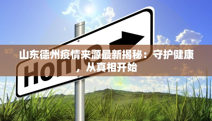 山东德州疫情来源最新揭秘:守护健康,从真相开始 山东德州疫情来源最新揭秘:守护健康,从真相开始