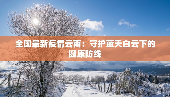 全国最新疫情云南：守护蓝天白云下的健康防线