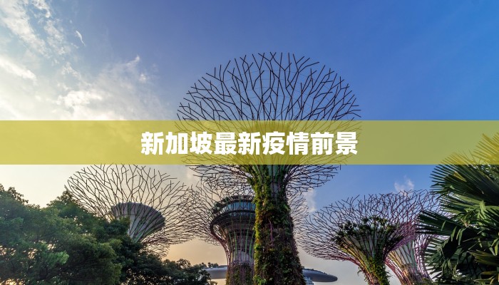 新加坡最新疫情前景