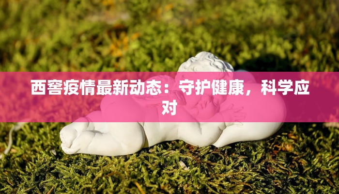 西窖疫情最新动态：守护健康，科学应对