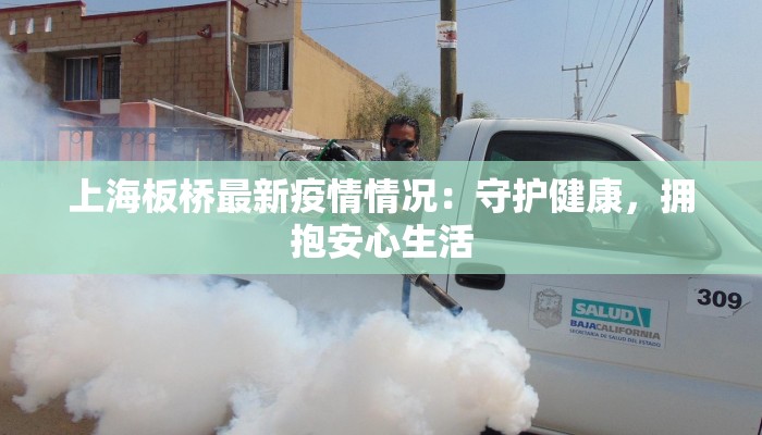 上海板桥最新疫情情况：守护健康，拥抱安心生活