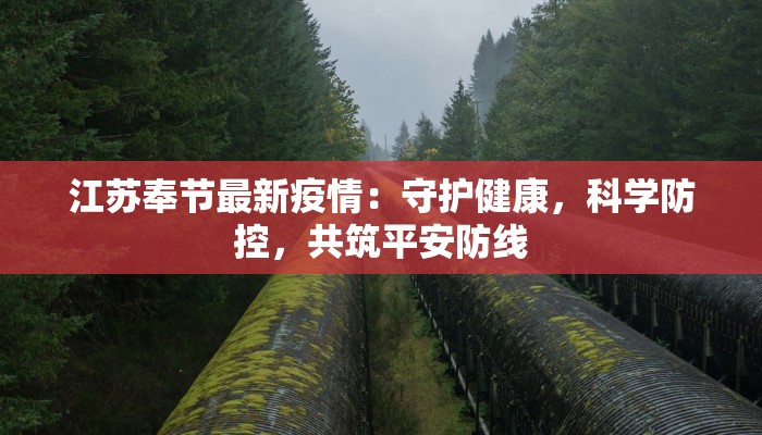 江苏奉节最新疫情：守护健康，科学防控，共筑平安防线