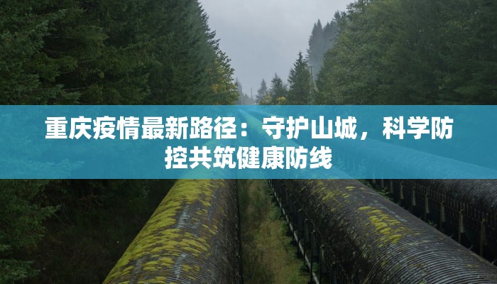 重庆疫情最新路径：守护山城，科学防控共筑健康防线