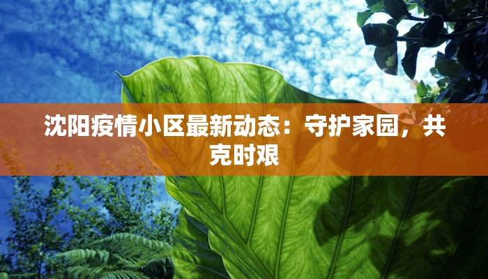 沈阳疫情小区最新动态：守护家园，共克时艰