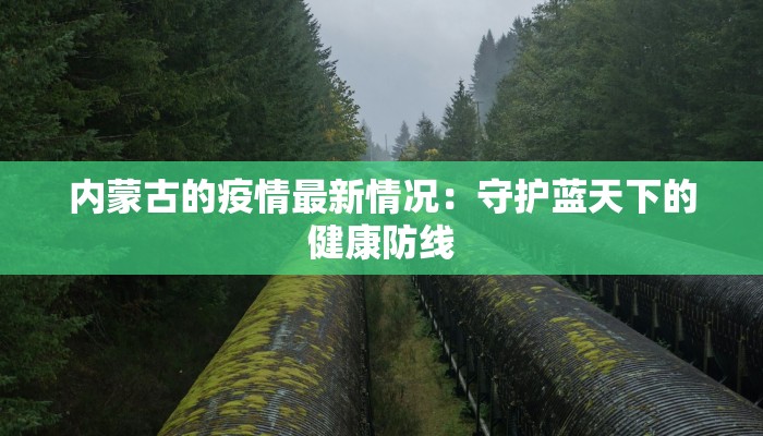 内蒙古的疫情最新情况：守护蓝天下的健康防线
