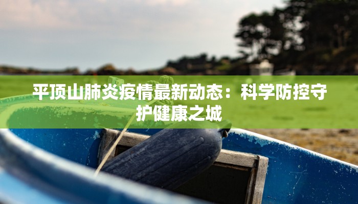 平顶山肺炎疫情最新动态：科学防控守护健康之城