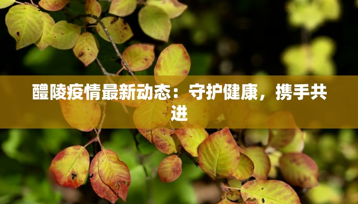 醴陵疫情最新动态：守护健康，携手共进