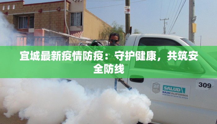 宜城最新疫情防疫：守护健康，共筑安全防线