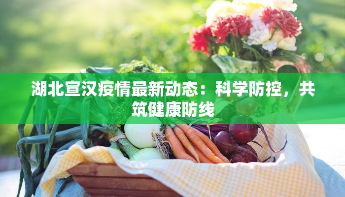 湖北宣汉疫情最新动态：科学防控，共筑健康防线