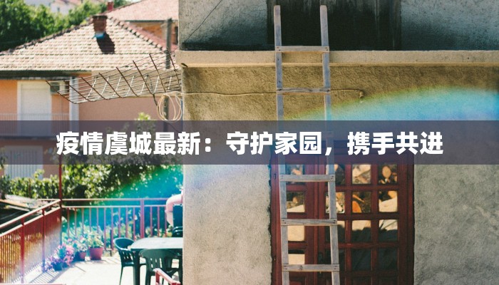 疫情虞城最新：守护家园，携手共进