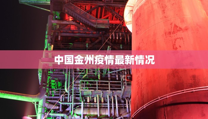 中国金州疫情最新情况