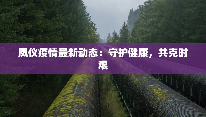 凤仪疫情最新动态：守护健康，共克时艰