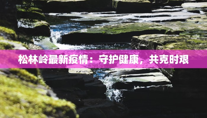 松林岭最新疫情：守护健康，共克时艰