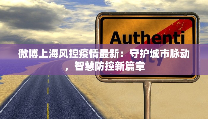 微博上海风控疫情最新：守护城市脉动，智慧防控新篇章