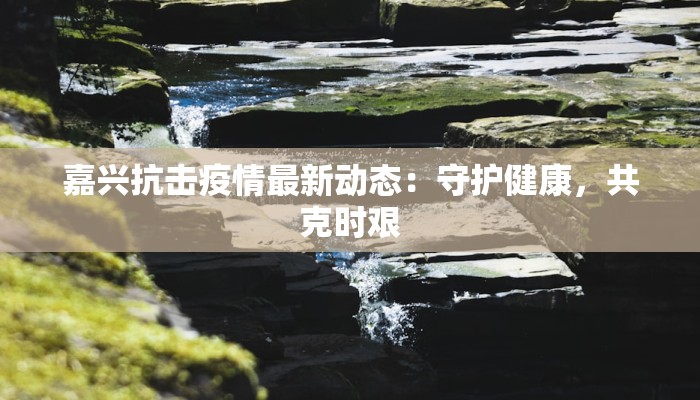 嘉兴抗击疫情最新动态：守护健康，共克时艰