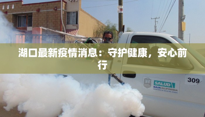 湖口最新疫情消息：守护健康，安心前行