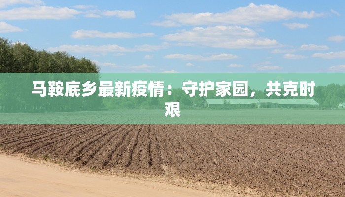 马鞍底乡最新疫情：守护家园，共克时艰