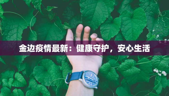 金边疫情最新：健康守护，安心生活
