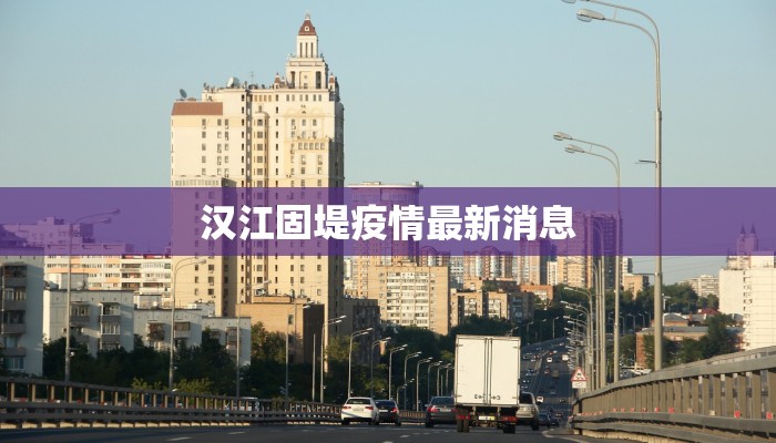 汉江固堤疫情最新消息