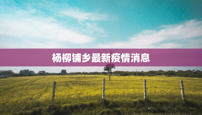 杨柳铺乡最新疫情消息