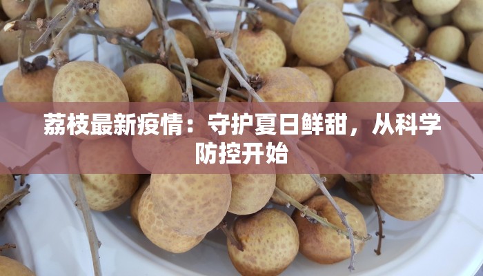 荔枝最新疫情:守护夏日鲜甜,从科学防控开始 荔枝最新疫情:守护夏日鲜甜,从科学防控开始