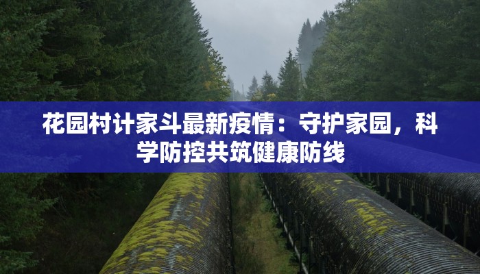 花园村计家斗最新疫情：守护家园，科学防控共筑健康防线
