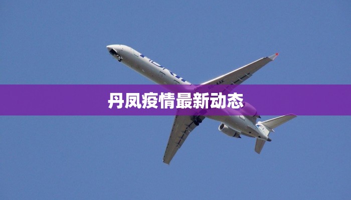 丹凤疫情最新动态