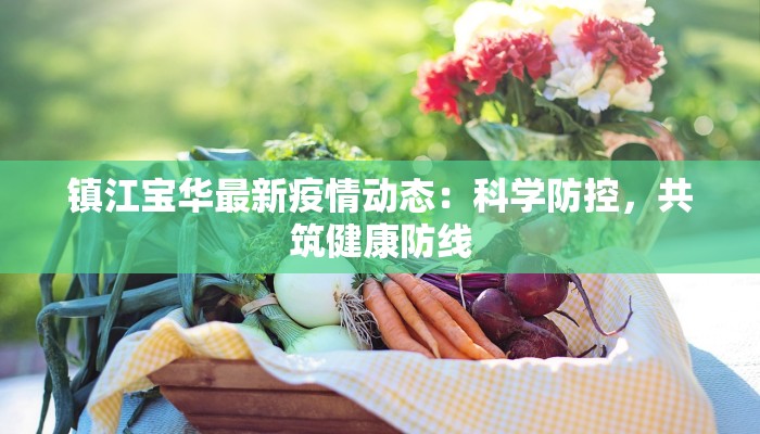 镇江宝华最新疫情动态：科学防控，共筑健康防线