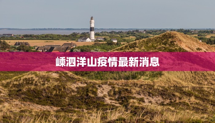 嵊泗洋山疫情最新消息