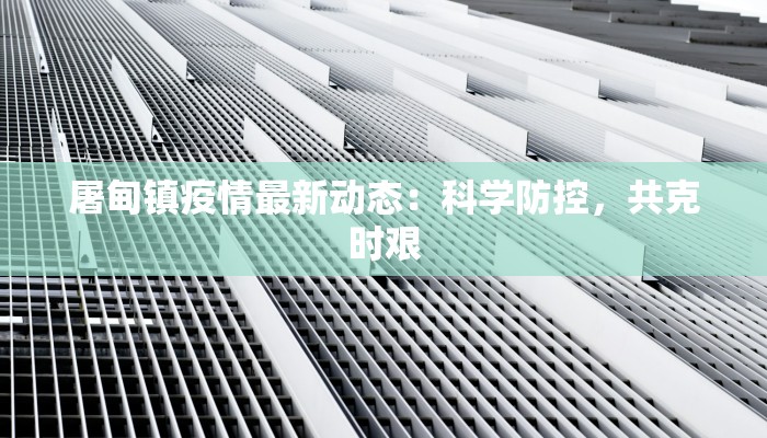 屠甸镇疫情最新动态：科学防控，共克时艰