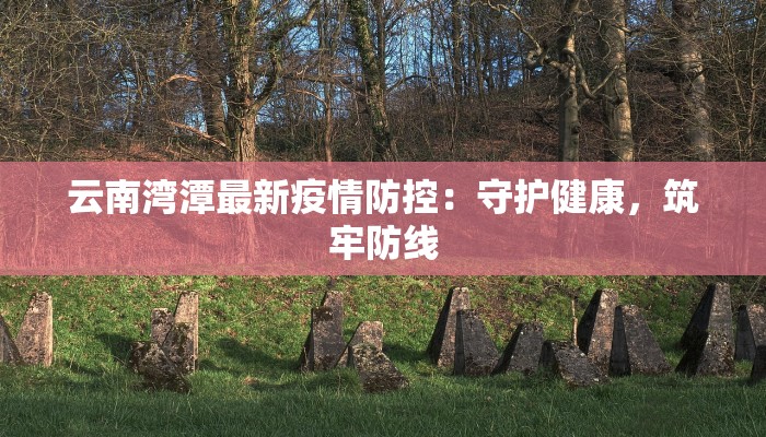 云南湾潭最新疫情防控：守护健康，筑牢防线
