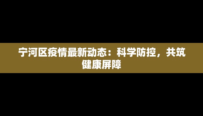 宁河区疫情最新动态：科学防控，共筑健康屏障