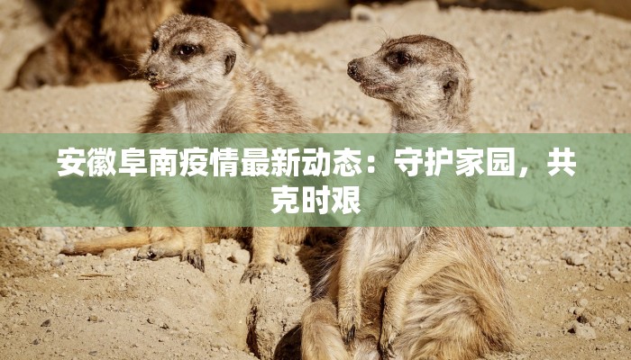 贵州的疫情消息最新：科学防控，共筑健康屏障