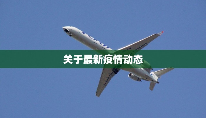 关于最新疫情动态