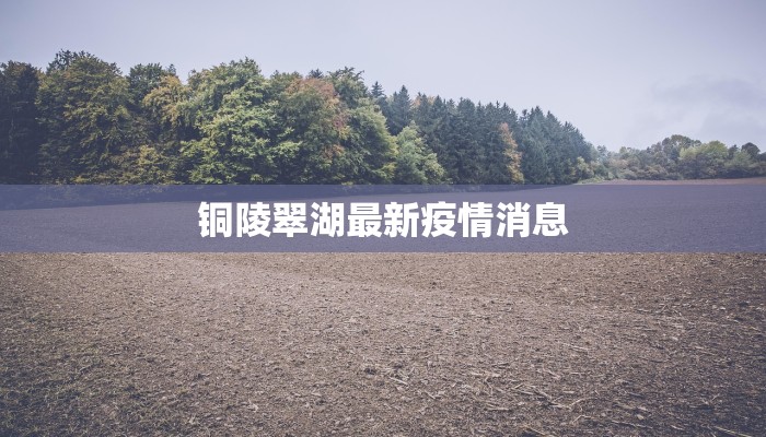 铜陵翠湖最新疫情消息