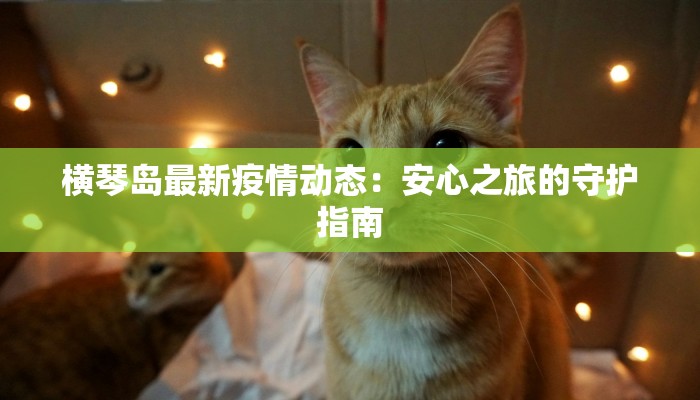 横琴岛最新疫情动态：安心之旅的守护指南