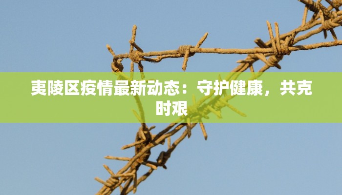 夷陵区疫情最新动态：守护健康，共克时艰