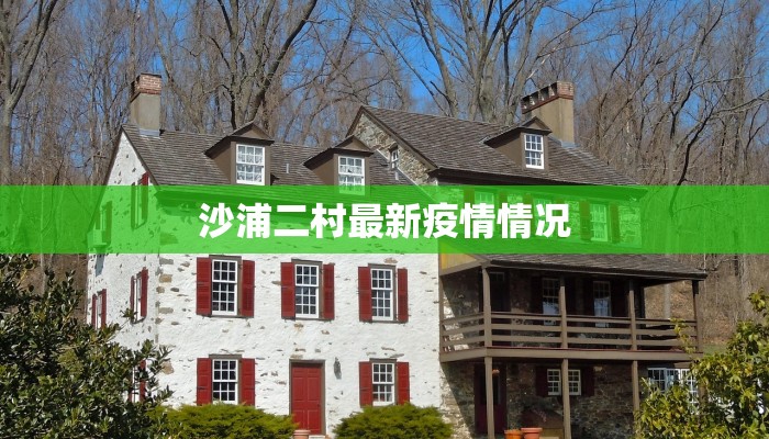 沙浦二村最新疫情情况