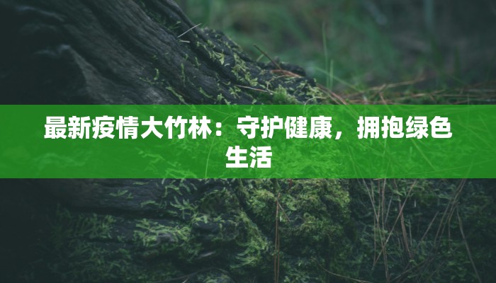 最新疫情大竹林：守护健康，拥抱绿色生活