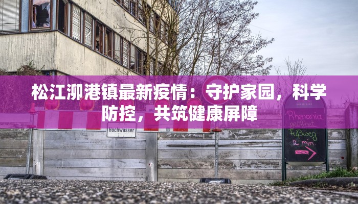 松江泖港镇最新疫情：守护家园，科学防控，共筑健康屏障
