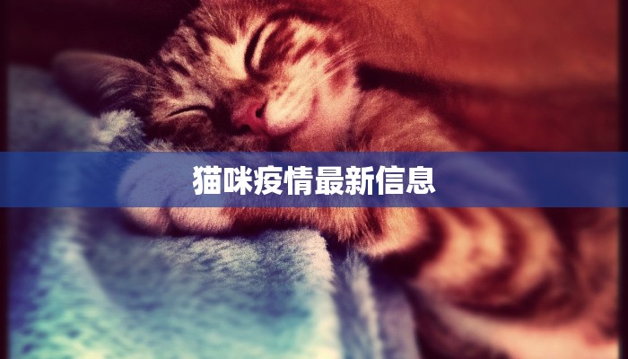 猫咪疫情最新信息