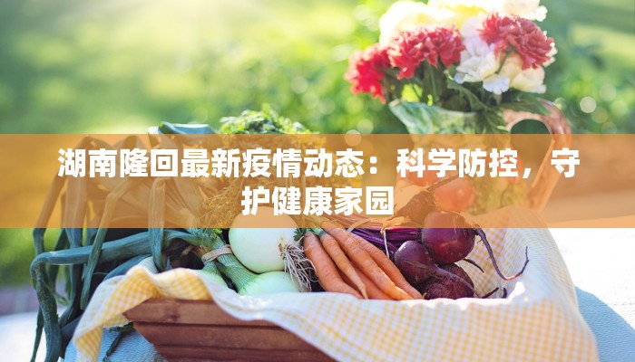 湖南隆回最新疫情动态：科学防控，守护健康家园