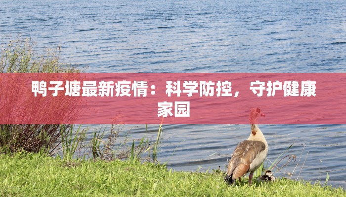 鸭子塘最新疫情：科学防控，守护健康家园