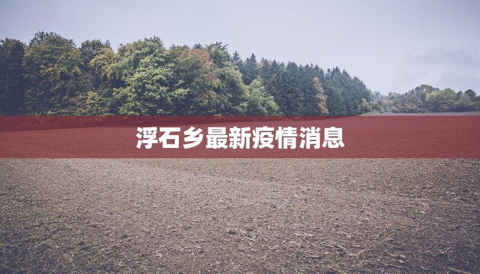 浮石乡最新疫情消息