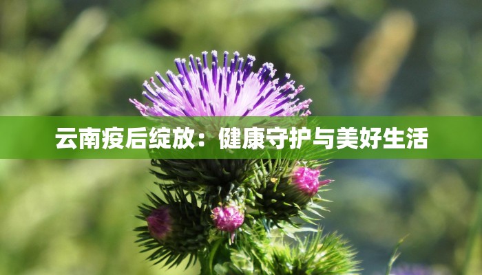 云南疫后绽放：健康守护与美好生活