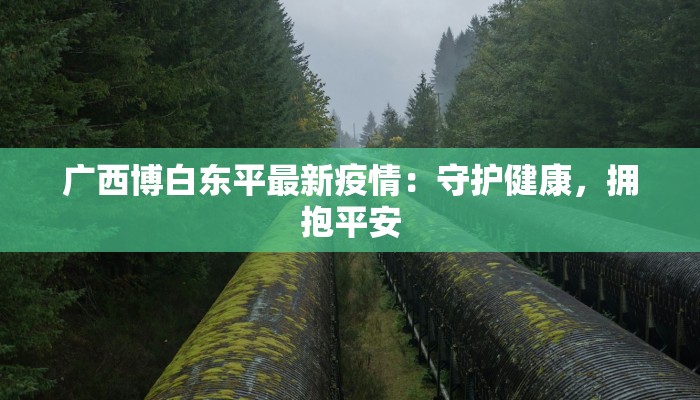 广西博白东平最新疫情：守护健康，拥抱平安