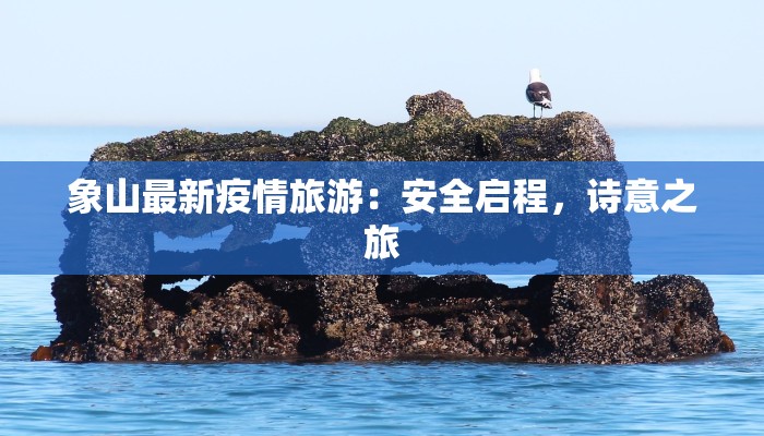 象山最新疫情旅游：安全启程，诗意之旅