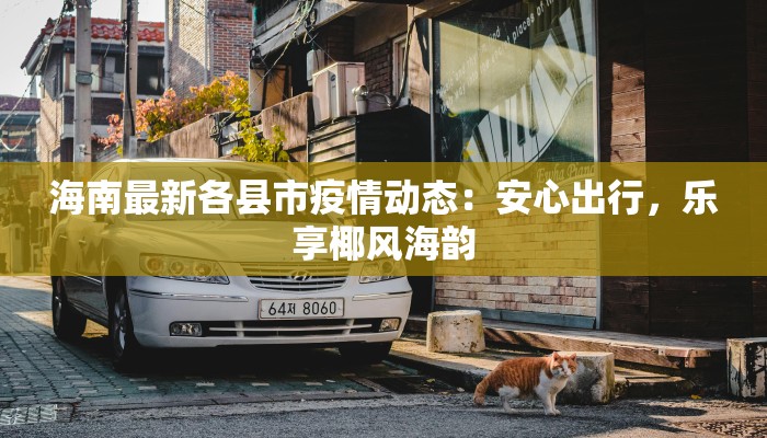 海南最新各县市疫情动态：安心出行，乐享椰风海韵